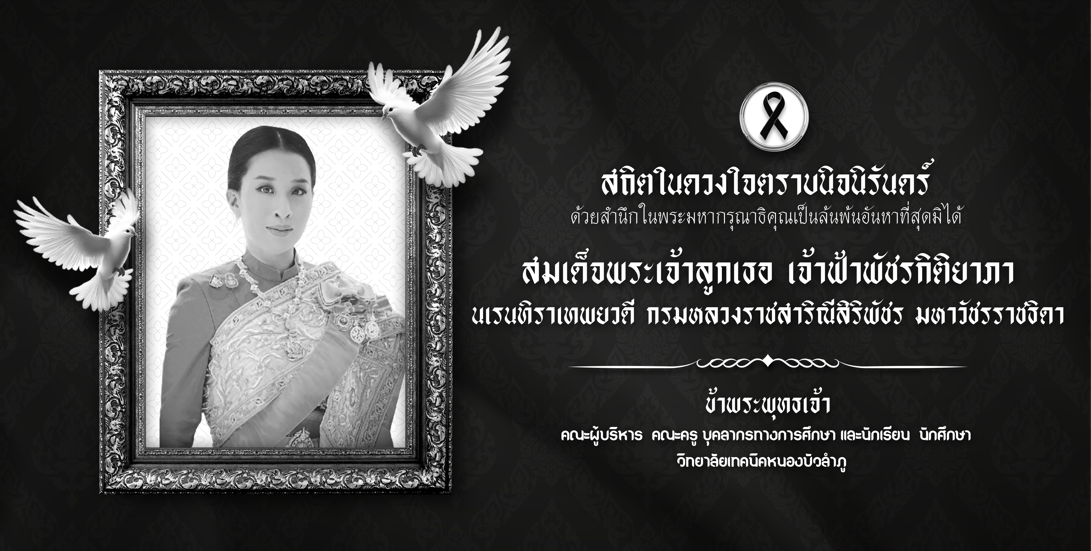 แบนเนอร์ 1